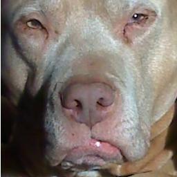 lassosRus's profile picture. I scrub my thug tweets. Maybe you should two... or three...  #boom