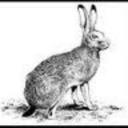 Rob Hare - @RobTsuro - Twitter