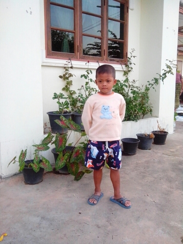 nuttkon03's profile picture. 