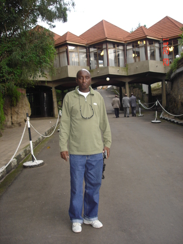 Ali Wario Sarite Profile