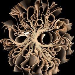 t_lgorg's profile picture. 