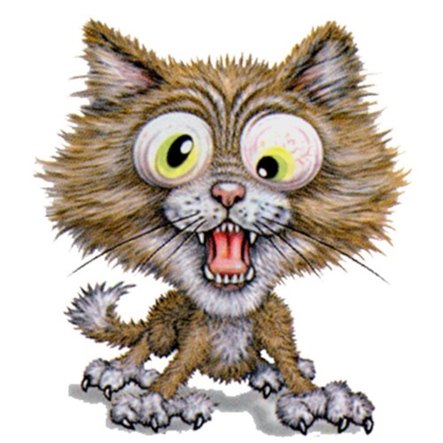 erwinbuzz's profile picture. 