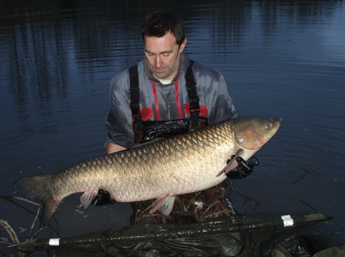 Carp Fishing in France, we have a 4.5 acre lake stocked full of carp to 53lb, 2 bedroom Lakeside accommodation and only 3.5 hours drive from Calais.