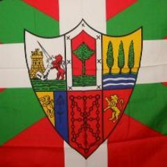 IonAgirregomezk's profile picture. 