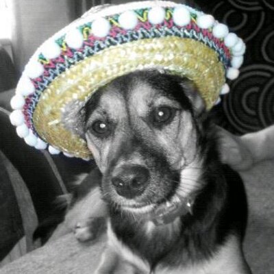 Profile Picture of Becky Downs (@BecksDxx) on Twitter