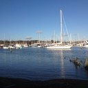 Ellen Wagstaff Arden - @EWagstaffArden - Twitter