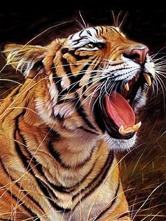 TeeZSms's profile picture. 