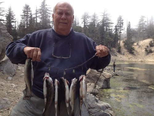 BelueBob's profile picture. Logistics Consultant