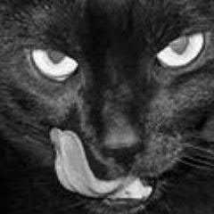 golubtania's profile picture. Интересуюсь фотографией, модой, популярными личностями Люблю интересных людей.