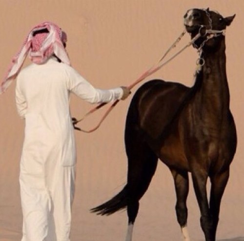 نبراس✌AlQhtani