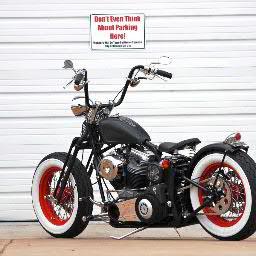 Solorinn's profile picture. 