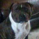 gillian shepherd - @Gill08 - Twitter