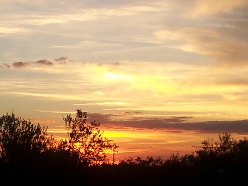 e_navascuez's profile picture. ver @enavascuez