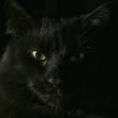 sybar1te's profile picture. 