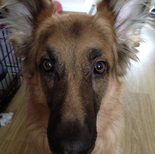 debsallum's profile picture. 