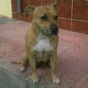 Adrian bermudez  - @adriwalki - Twitter