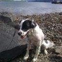 Ronald McNab - @istanbul01 - Twitter