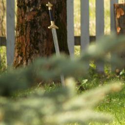 alxnalxn's profile picture. сальса -это еще не все.