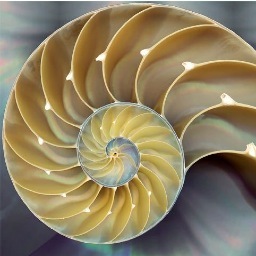 kgm_11's profile picture. 