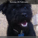 John Cain - @JTC1965 - Twitter