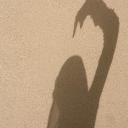 Il n’y a pas de vertu sans intention. [Socrate]