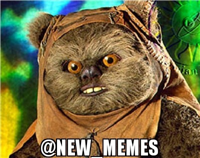~ #newmemes de nieuwste en leukste memes ~