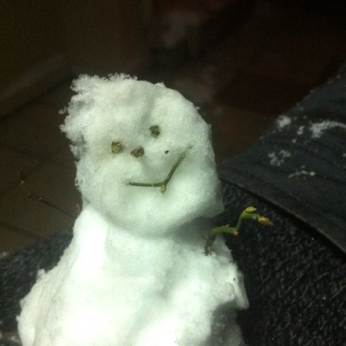 a2a_burdaydiii's profile picture. 