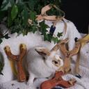 tom nelson - @bunnybuster - Twitter