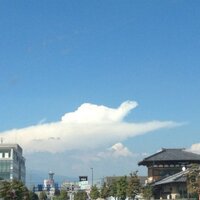 まぐにん✨ (@magu_magunin) 's Twitter Profile