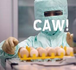 fussysprocket's profile picture. 