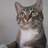 Pippicatsindaco's profile image