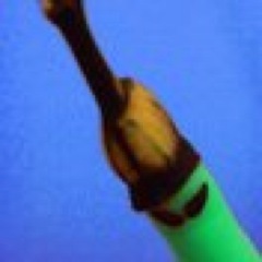 darkfynne Profile Picture