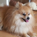 sue wheatley - @wheatley2345 - Twitter