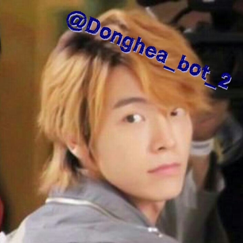 @Donghea_bot_のついほー用