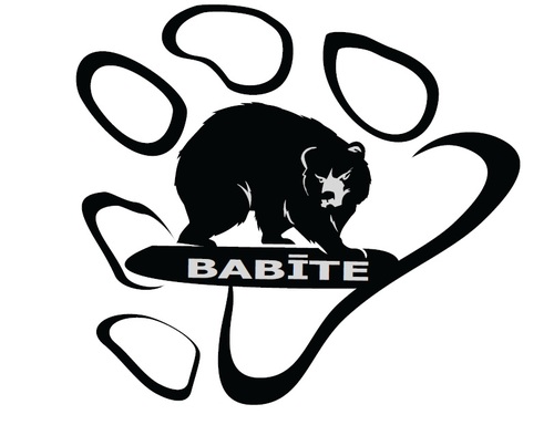 FLORBOLS BABĪTE