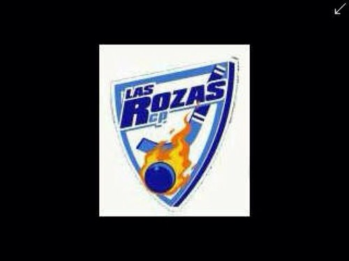 Club Patín Las Rozas