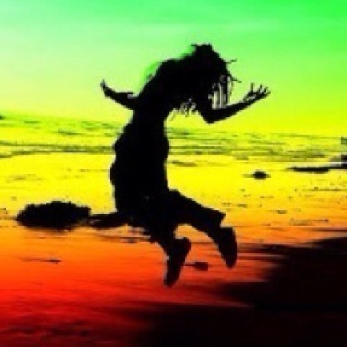 Reggae is life.