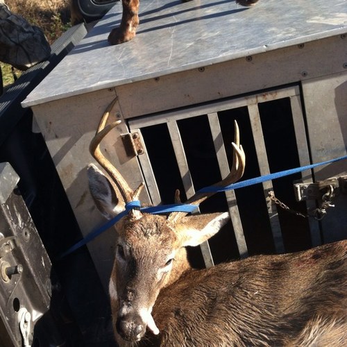 living life to the fullest and loving it, imma country boy and living the #farmlife