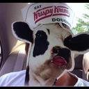 john cram - @johnnycrammy - Twitter