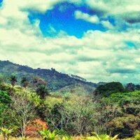 Ibogaine Treatment (@ibegin_again) 's Twitter Profile