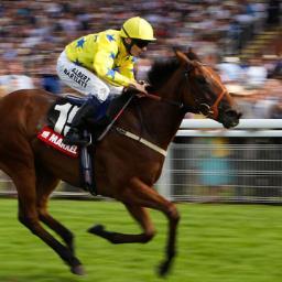 FREDDIEGONZALE2's profile picture. 