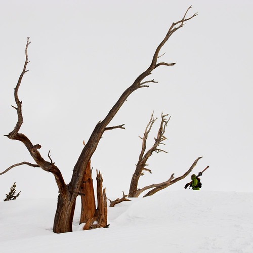 ChefRobT's profile picture. A food & wine pro and certifiable Altaholic who suffers from frequent ACK attacks.