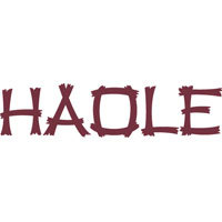 YouSoHaole Profile Picture