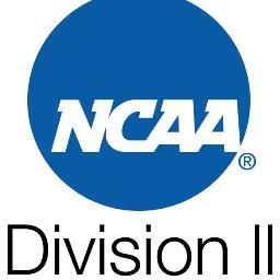 The Life of a D2 baseball player