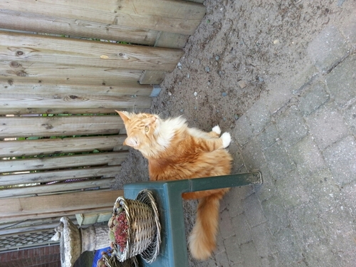 robbyc38's profile picture. 