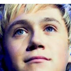 Directioner, Simpsonizer, Jonatic, Jordaneer, and me, see that follow button? yea, I think it's gonna save your life