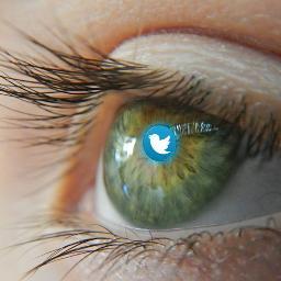 Sinds 01-2013 helpt Tweetservice u aan meer naamsbekendheid of klanten door de inzet van Twitter. Strategie, implementatie, redactie, monitoring of trainingen.
