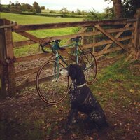 Tim Wells (@timwwells) 's Twitter Profile