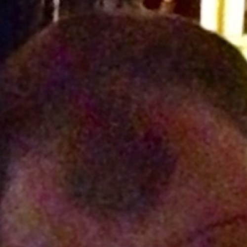 ShitEyhSays's profile picture. Won't eat you food, will drink all your beer. I know you hate me.