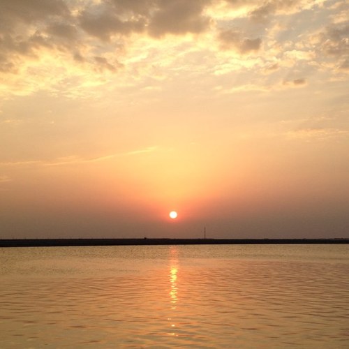 falkooheji7's profile picture. 